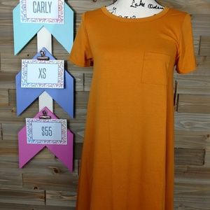 LuLaRoe XS Carly dress